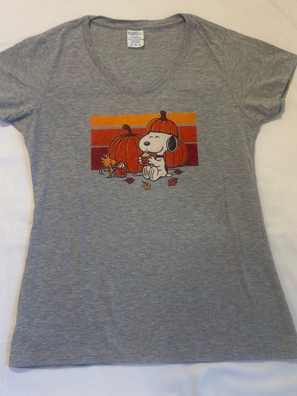 Peanuts Snoopy Pumpkin Graphic Tee Gray Pumpkin Spice